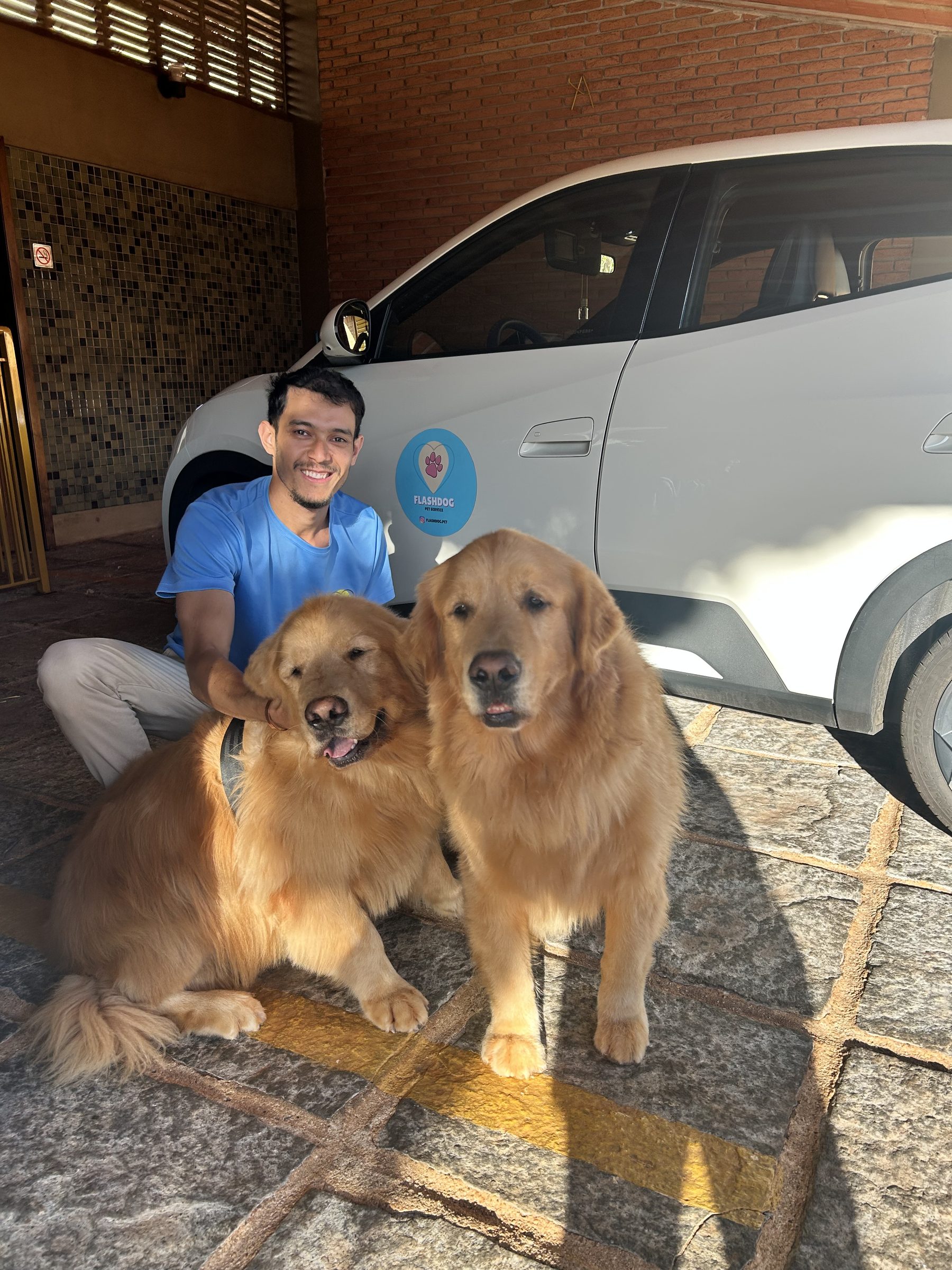 Motorista Flashdog com dois golden retrievers felizes