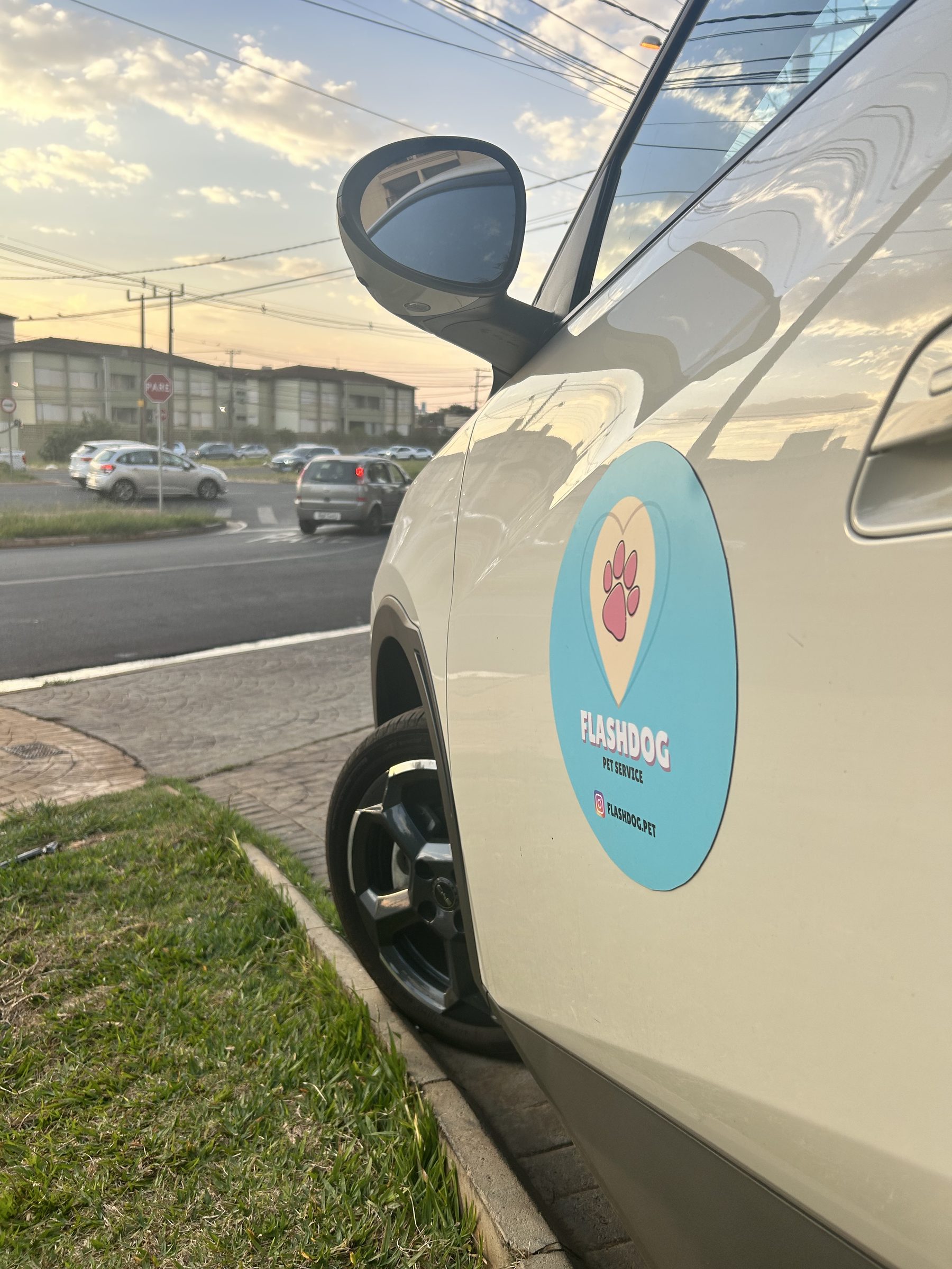 Carro Flashdog adesivado